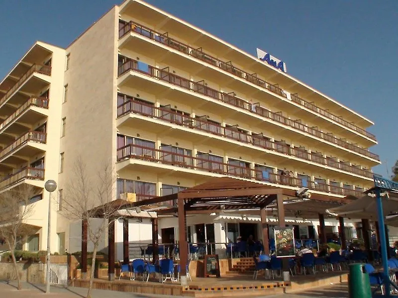 Aya海洋酒店 帕尔马海滩 酒店